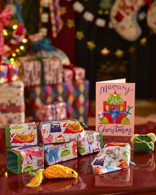 Cat Lover Christmas Gift Set