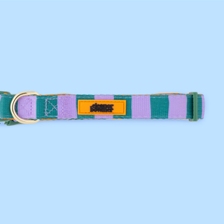 Checkerboard Star Pet Collar