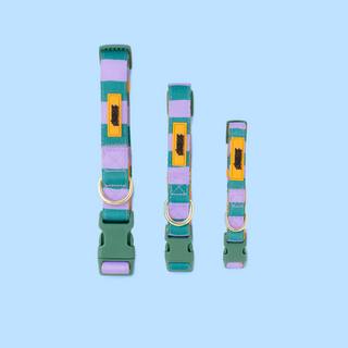Checkerboard Star Pet Collar