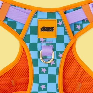 Checkerboard Star Pet Harness