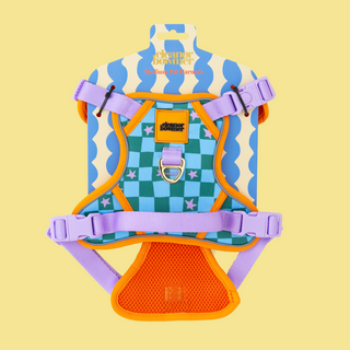 Checkerboard Star Pet Harness
