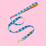 Checkerboard Star Pet Lead