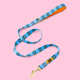Checkerboard Star Dog Walking Set