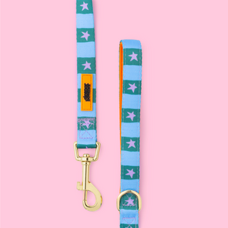Checkerboard Star Pet Lead