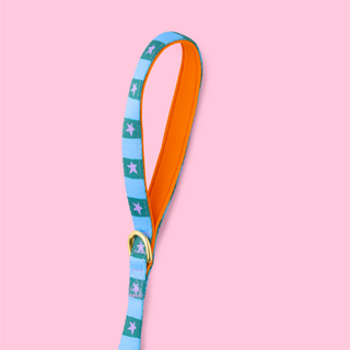Checkerboard Star Pet Lead