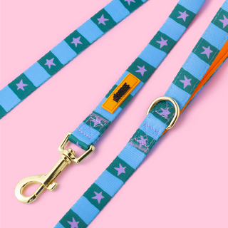 Checkerboard Star Pet Lead