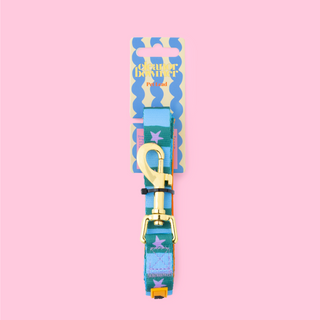 Checkerboard Star Pet Lead