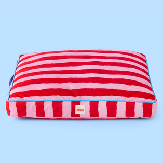 Painted Stripe Flat Pet Bed