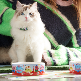 Cool Cat Club Bowl