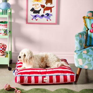 Painted Stripe Flat Pet Bed