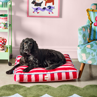 Painted Stripe Flat Pet Bed