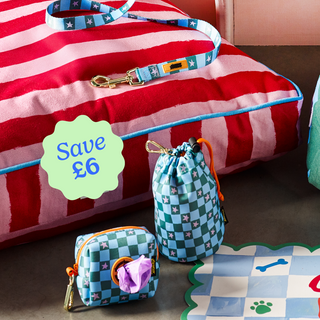 Checkerboard Star Dog Walking Set