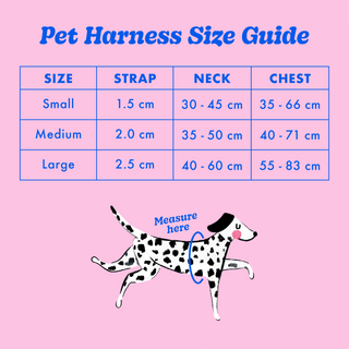 Checkerboard Star Pet Harness