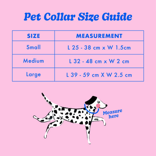 Checkerboard Star Pet Collar