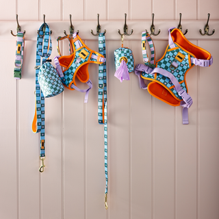 Checkerboard Star Pet Lead