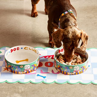 Cool Dog Club Bowl