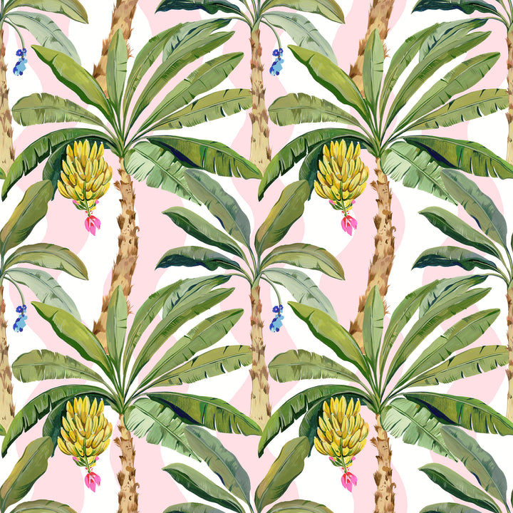 Banana Palms Wallpaper